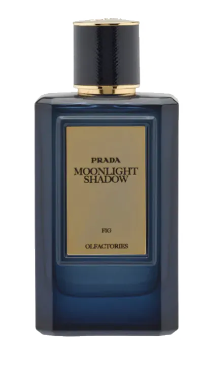 MOONLIGHT SHADOW