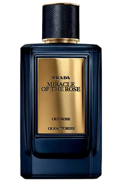 MIRACLE OF THE ROSE