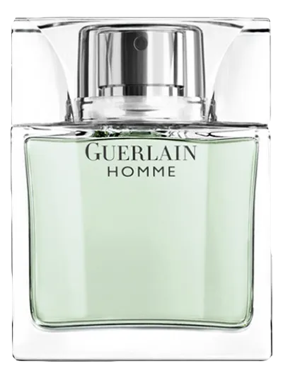 HOMME