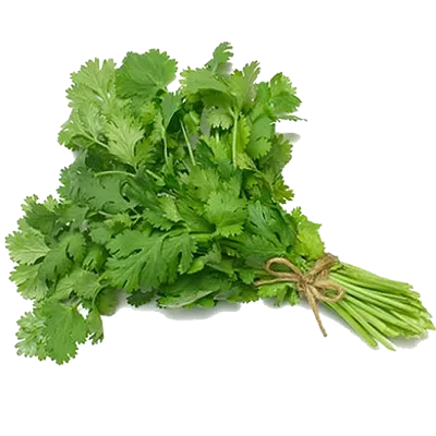 Coriander Leaf