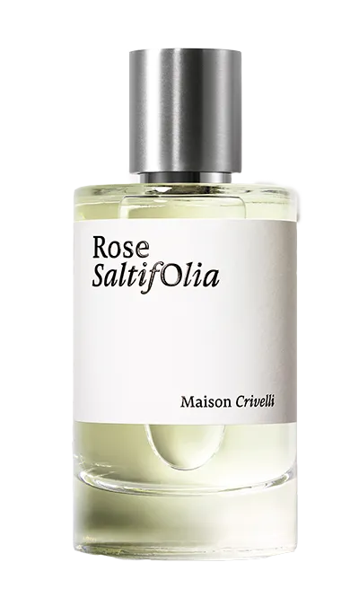 ROSE SALTIFOLIA