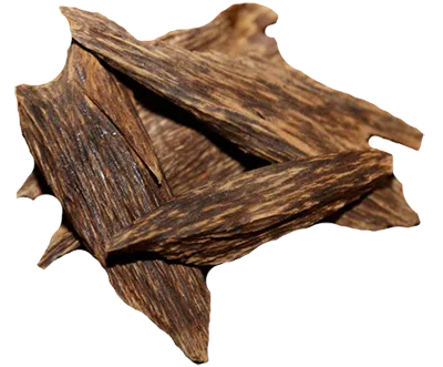 Oud
