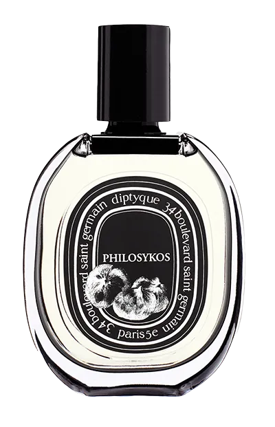 PHILOSYKOS EDP