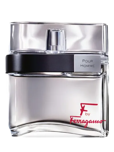 F-POUR HOMME