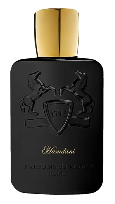 HAMDANI