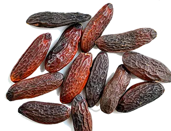 Tonka Bean