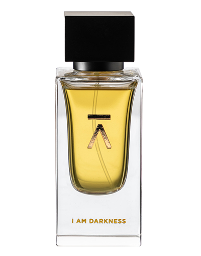I AM DARKNESS