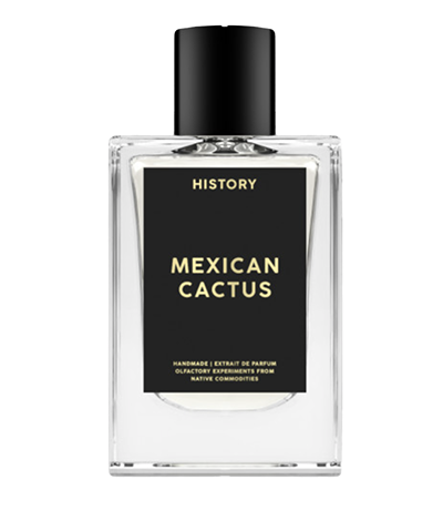 MEXICAN CACTUS