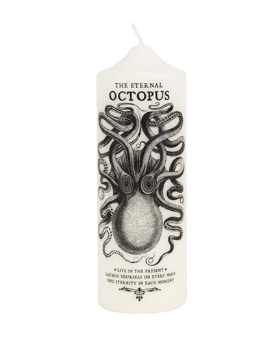 THE ETERNAL OCTOPUS VELA ARTÍSTICA