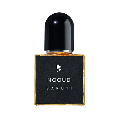 NOOUD EDP
