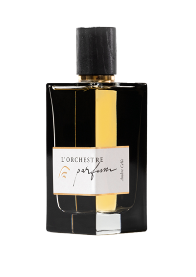 AMBRE CELLO