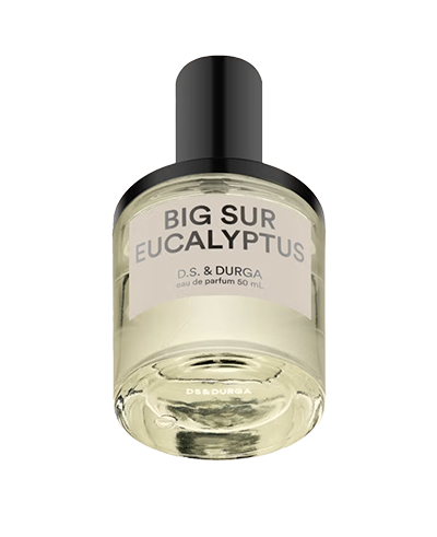 BIG SUR EUCALYPTUS