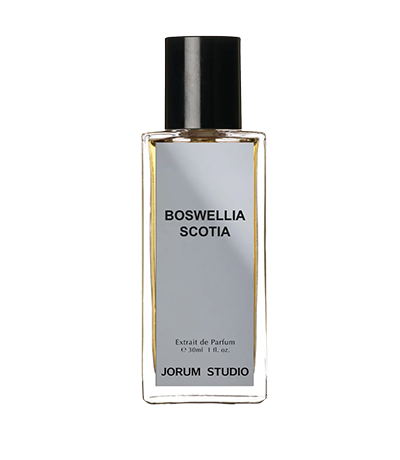 BOSWELLIA SCOTIA