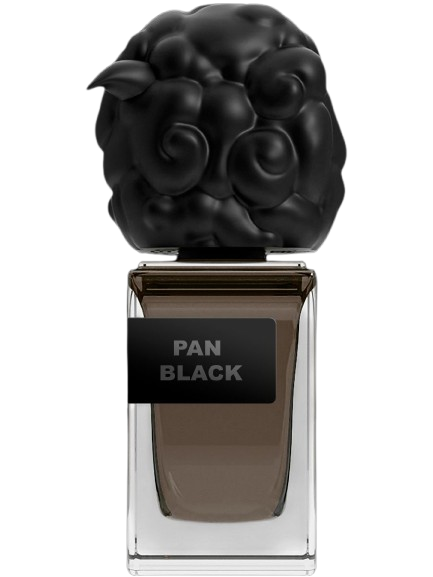 PAN BLACK
