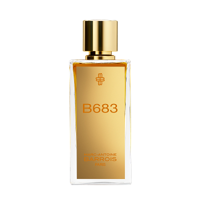 B683