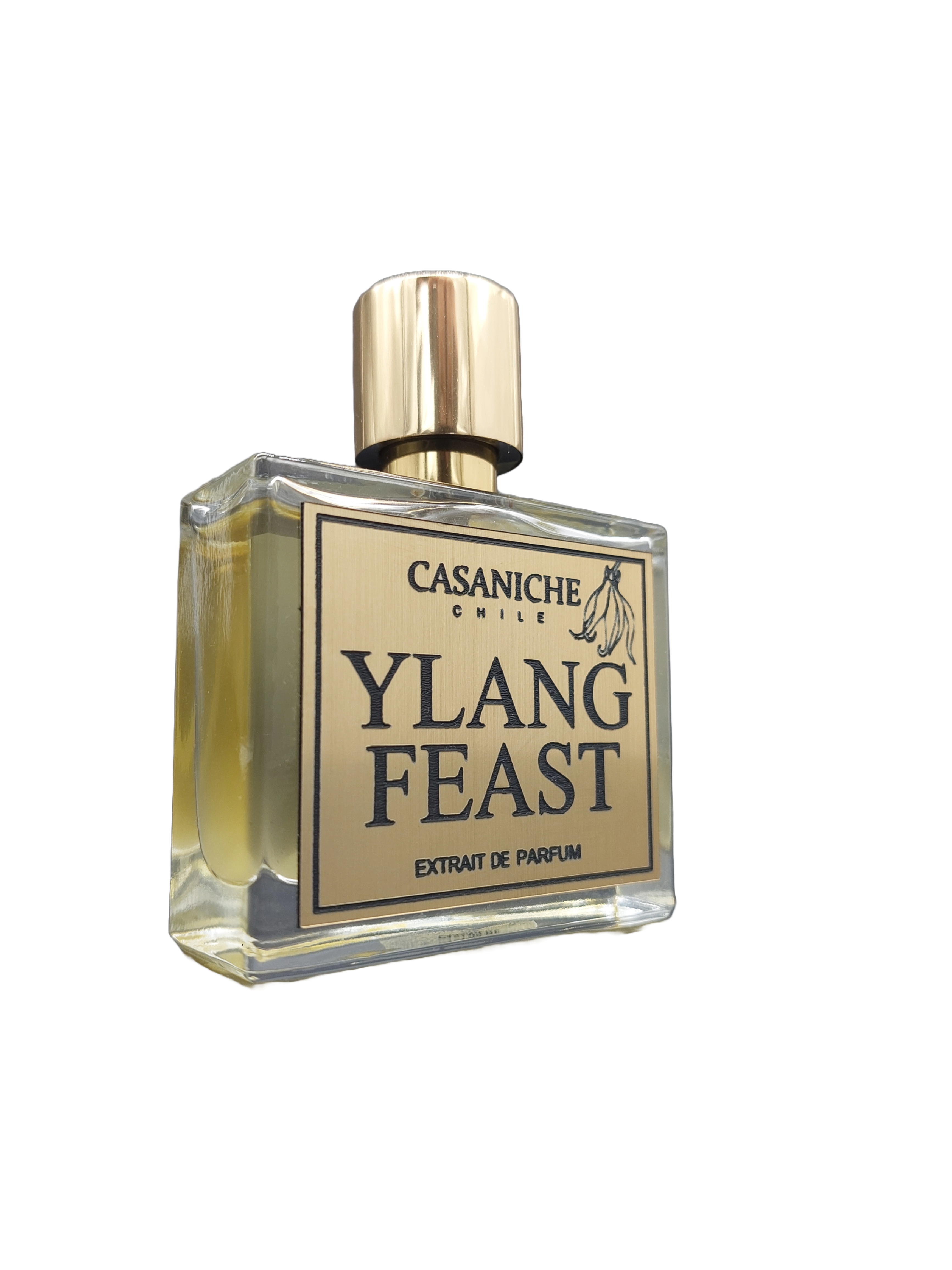 YLANG FEST