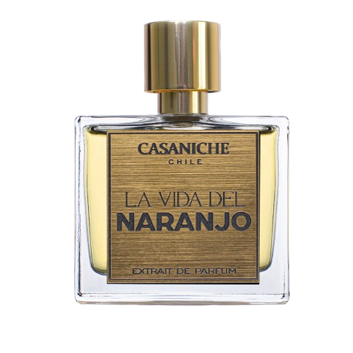LA VIDA DEL NARANJO