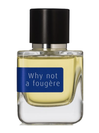 WHY NOT A FOUGERE?