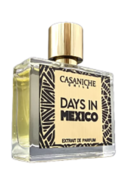 DAYS IN MEXICO