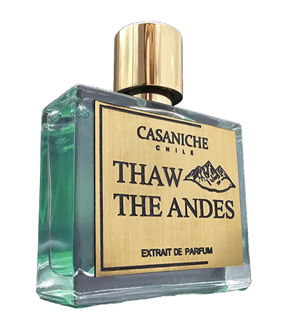 THAW THE ANDES